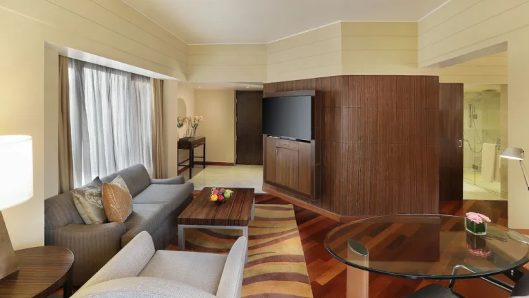 hotel DEVASHISH delrd p0409 terrace suite living room seating.16x9